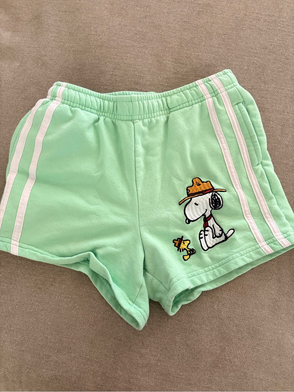 Peanuts Mint Green Athletic Shorts with White Stripes